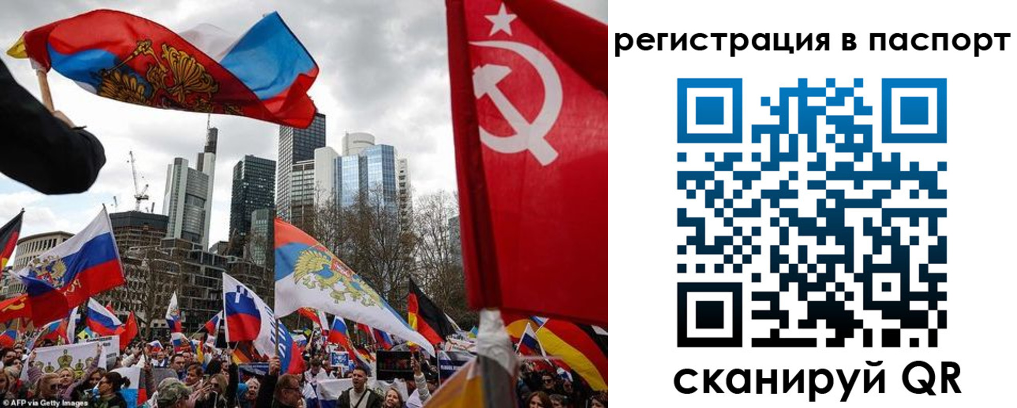 временная регистрация поиск в Мончегорске