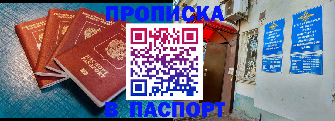 прописка иностранных граждан в Мончегорске